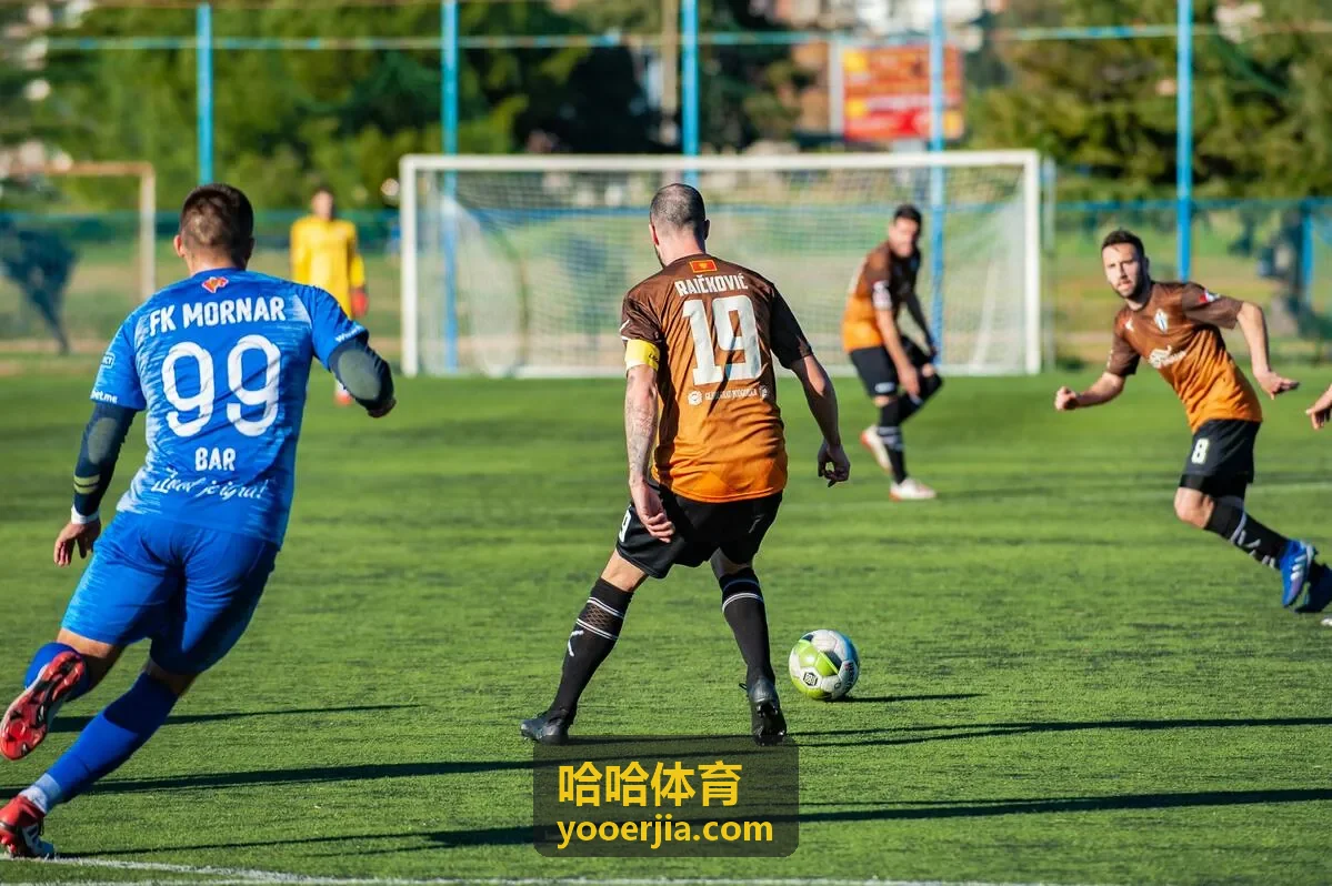 哈哈体育智能训练计划